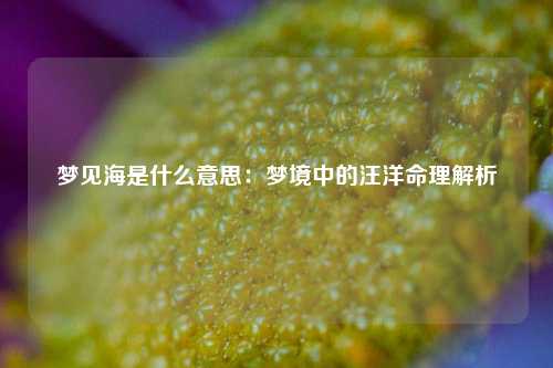 梦见海是什么意思:梦境中的汪洋命理解析