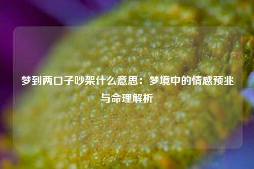 梦到两口子吵架什么意思:梦境中的情感预兆与命理解析